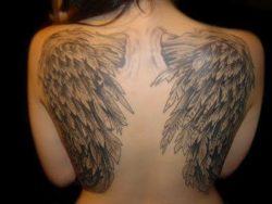 A tattoo of angel wings that shows the popular feathered form for angel wings in tattoo art