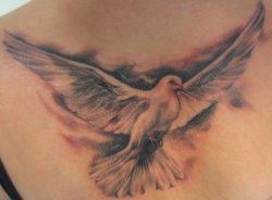 Dove tattoo designs are a symbol of hope, peace and calm