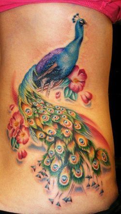 Peacock tattoos are popular with women as a colorful, attractive symbol of pride, beauty and regality