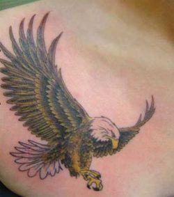 flying eagle tattoo design america patriotism bird symbol power strength messenger