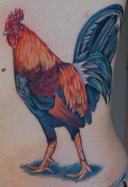 Rooster tattoos are a colorful symbol of leadership. masculine power and pride.