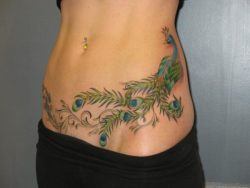 A blue and green peacock bird tattoo stretches across this girl's hips and abdomen