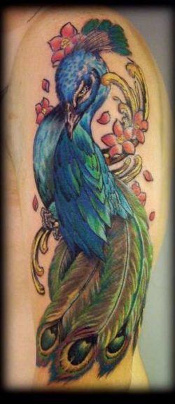 A colorful and elegant peacock tattoo that protrays the watchful nature of the bird