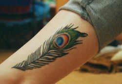 A peacock feather tattoo on the leg, showing off the eye of the peacock feather