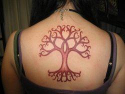 A stylized tree tattoo design in one color ink decorates this girl's upper back.