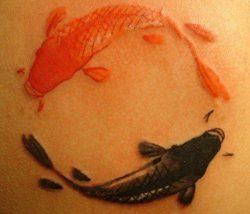 An artistic koi fish tattoo design that depicts an orange and a black koi swimming in a circle, similar to a yin yang symbol.