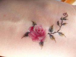An artistic tattoo of a pink rose flower. The stem of the rose has thorns, and the leaves have prickly tips