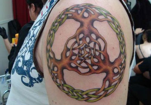 Tattoo of a celtic knot made out of trees. The three trees intertwine to create the circle of life celtic knot.