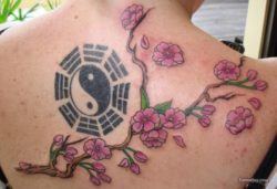 A ying yang tattoo design that is surrounded by chinese medicine symbols and a cherry blossom branch