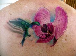 A cute, girly tattoo of a hummingbird sipping nectar from an orchid flower