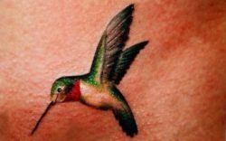 This hummingbird tattoo design uses the natural colors and shapes of the hummingbird, creating an organic, realistic bird tattoo.