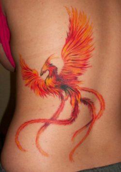 A phoenix rises from the ashes in this fire bird tattoo. The tail feathers are like fiery ribbons that rail behind the mythical bird