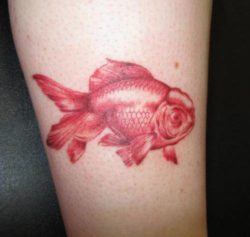 An oranda goldfish tattoo in red ink