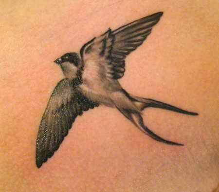 This artistic black and white swallow tattoo is posed as though viewed from below
