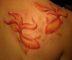This tattoo of two orange goldfish shows the elegant curves and lines created by the flowing fins of the goldfish
