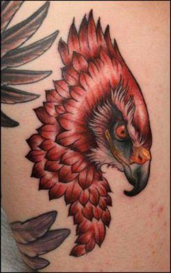 An amazing profile tattoo of a hawks head witha cocky expression by Shawn Barber