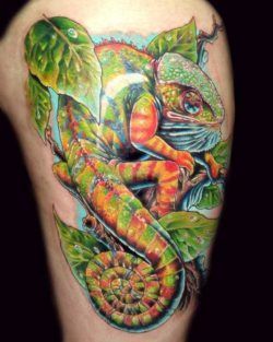A colorful, highly detailed tattoo design of a chameleon lizard with a curled tail