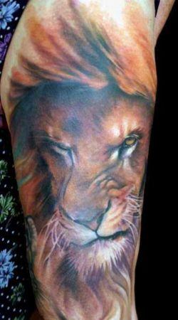 A snarling lion sneers with contempt in this beautiful lion tattoo