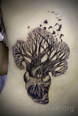 David Hale grows a tree from a human heart in this illustrative tattoo designDavid Hale grows a tree from a human heart in this illustrative tattoo design