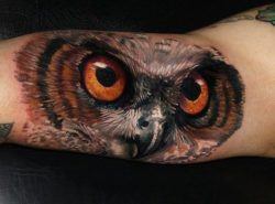 Tattoo artist Carlox Angarita has created a stunning photo realistic tattoo of an owl on the inside of the forearm