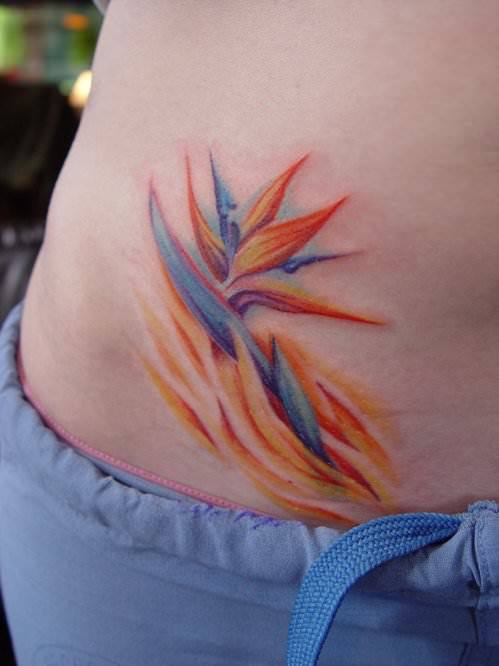 An abstract tattoo of a bird of paradise flower also known as a crane flower