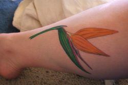 The bird of paradise flower can also look like a bird in flight, as shown in this tattoo design