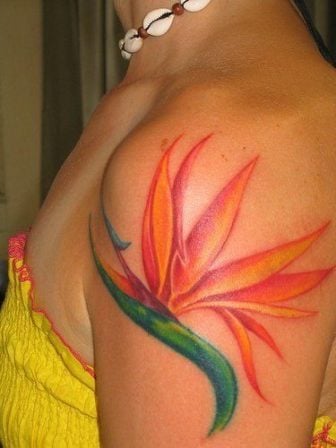 This colorful bird of paradise flower tattoo is a beautiful choice for women