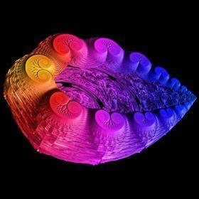 This 3D rendering of a Julia set fractal resembles a prehistoric sea creature