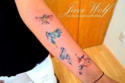 Tattoo artist Javi Wolf creates a colorful and symbolic bird tattoo with a watercolor style