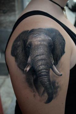 A bachelor elephant is a symbol of independence in this realistic tattoo by Maui Meherzi